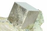 Natural Pyrite Cube In Rock - Navajun, Spain #144054-1